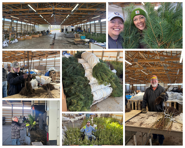 Sheboygan County Planning & Conservation Department Tree & Shrub Program
