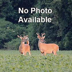 Root Gel for sale at Sheboygan Tree & Shrub Program